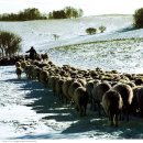 아브라함 목장 이미지