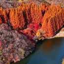 가보면 왜 캐나다 닮았다는지 알아요” 아직 사람 몰리지 않은 가을 단풍길 이미지