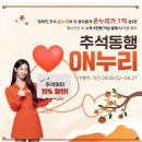 온누리 안경 이미지