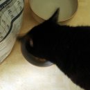 마구로안 이미지