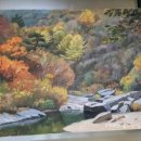 천안장승배기펜션 이미지