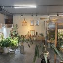 이배재로 59 이미지