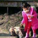 올래놀래 이미지