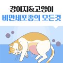 이천종합동물병원 이미지
