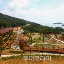 국립진도자연휴양림 이미지