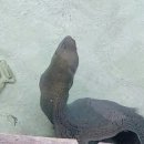 다은관광 이미지