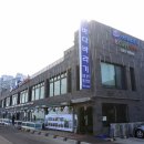 바다바라기 이미지