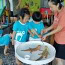 작은동물원 이미지