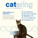 캣터링