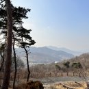 영산로 288 이미지