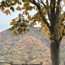 로드파크가로공원 이미지