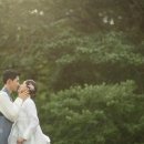 비단궁