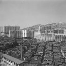 금화장 - 안양시 만안구 장내로150번길 28 | 금화장