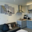 도그도기 이미지