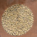 파로(FARRO) | 파로 고대곡물 추천｜독일산 프리미엄 FARRO 2kg 직접 먹어본 후기