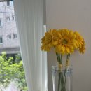 후암정형외과의원 이미지