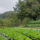 우물가의 미소 이미지