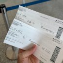 에프점에이코리아 | [뉴욕여행] 나이아가라 여행 2편+꿀팁/ 버팔로에서 버팔로윙 먹기/ 혼블로워 크루즈&amp;저니비하인더폴스...