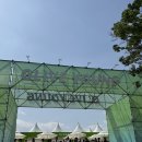 찬스바이오 | 마케터 시선으로 바라본 올리브영 페스타 2025 노들섬 후기