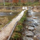 김삿갓면-0 이미지