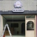 디어퍼피 이미지