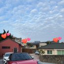 제주청년살이 | 제주 독채 펜션 제주청년살이 소로소로 객실 솔직 후기