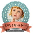 스테이션 포마