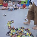 경희대 미래 태권도장 이미지