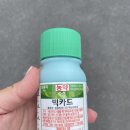 동부농약종묘사