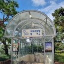 서구 문화회관 | 인천 서구문화회관 어린이 뮤지컬 누가 내 머리에 똥 쌌어? 관람 후기