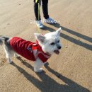 송정솔바람야영장 이미지