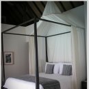 환상의 섬 이미지