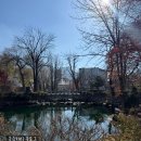 이마트24태백황지점 | [20251122-1123 태백영월여행] 태백닭갈비, 황지공원 산책