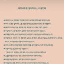 타이니포춘 이미지