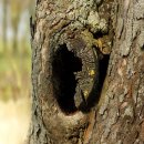 동편마을 이미지