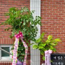 이원목담임목사 삼남연회 감독 축하 꽃다발 이미지