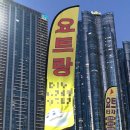 요트랑 | [부산 여행 필수 코스]부산 요트투어 요트랑 후기 및 예약정보