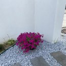 고은밥상 이미지