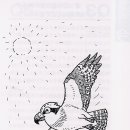 철새 이동의 미스터리(월간 BIRDER 2003년 12월)-1- 이미지