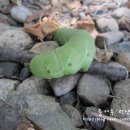 이경농장 이미지