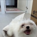 멍멍회관 이미지