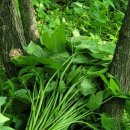 굴바우농장 이미지