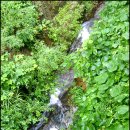 황토마루 이미지