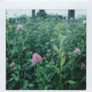 카페안셀프스튜디오하루 이미지