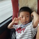 용인대 상록태권도 이미지