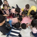 호암유치원 이미지