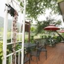 솔향기펜션 이미지