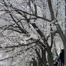 양재시민의숲역 1번출구 이미지