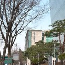 성남대로 1416번길 이미지