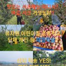 거성농원 이미지